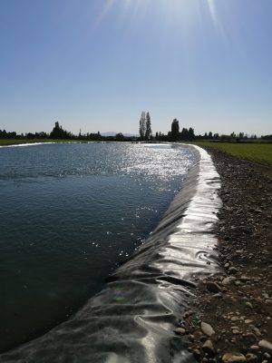 IMG_20211116_172259